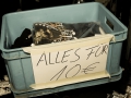 Wilde Jungs, Hasspirin Tour 2013